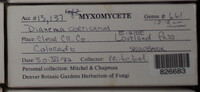 Image Associated With the Occurence